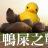 屎他媽為甚麼不可以是藝術