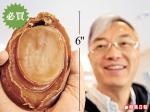 純恩啊，我來滿足你了(之二)